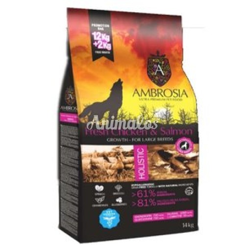אמברוסיה מזון לכלבים גורים מגזע גדול 12 קג