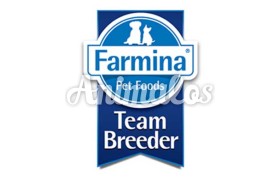 TEAM BREEDER