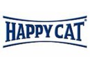 happy cat|הפי קט
