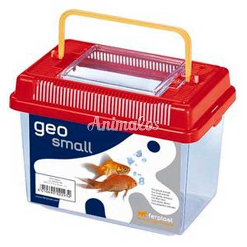 גאו לדגים קטן