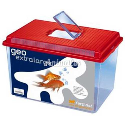 גאו לדגים אקסטרה לאר'ג