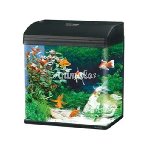 אקווריום דגם MR-418 בויו 40 ס"מ + תאורת לד חסכונית + פילטר עליון