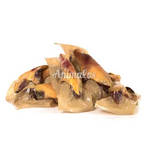 עצם פורקי ברך מעושנת