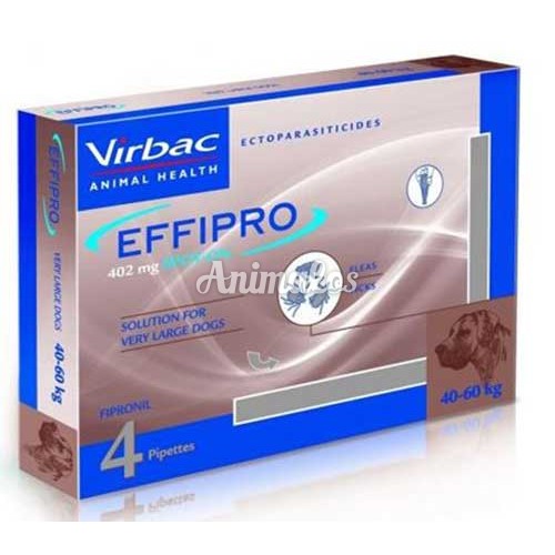 אמפולות אפיפרו לכלב 40-60 ק׳׳ג EFFIPRO