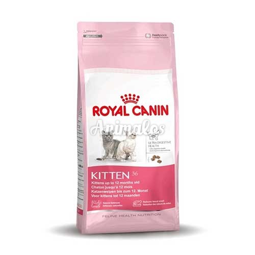 רויאל קנין חתול גור 4 ק''ג Royal Canin