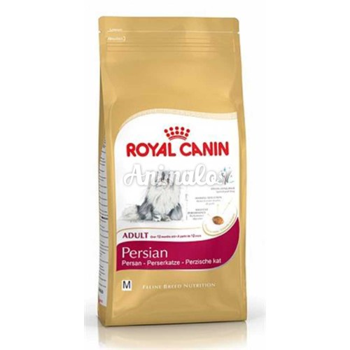רויאל קנין חתול פרסי 10 ק''ג Royal Canin