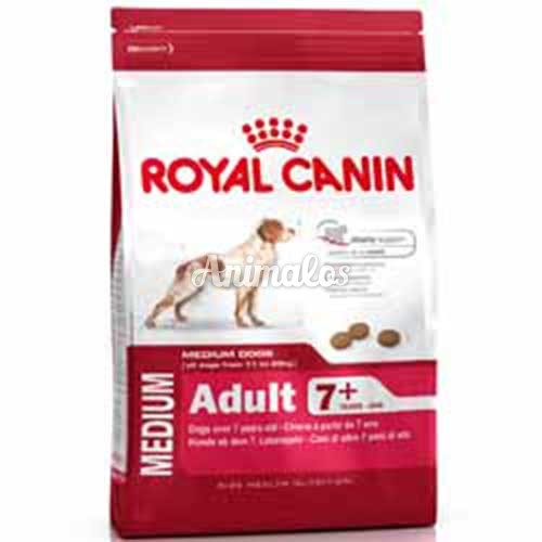 רויאל קנין מידיום 7+ במשקל 15 ק''ג Royal Canin