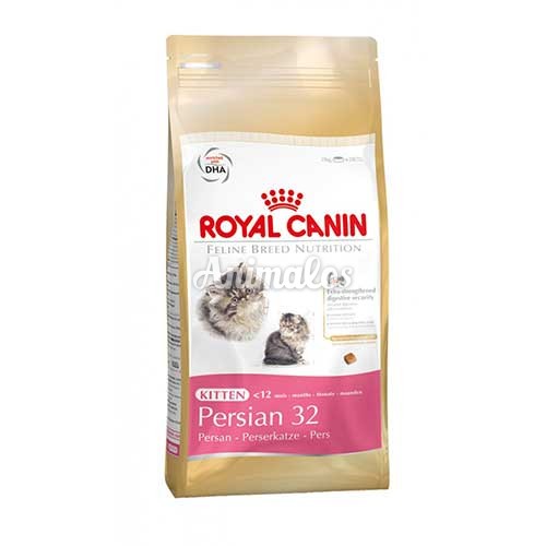 רויאל קנין חתול פרסי גור 4 ק''ג Royal Canin