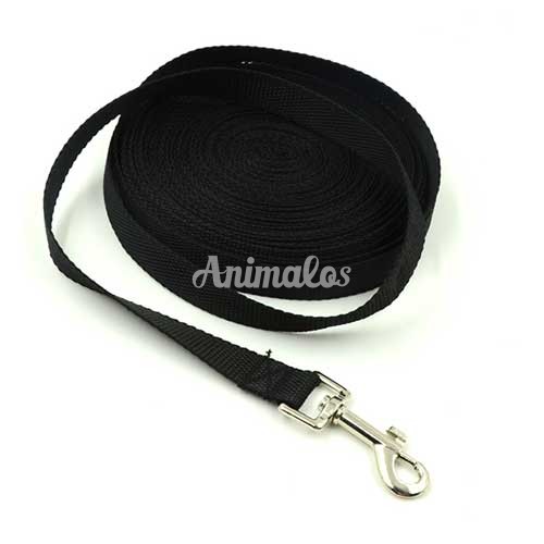 רצועה לאילוף 10 מטר