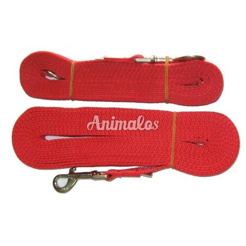 רצועה לאילוף 10 מטר מחולקת 4+6