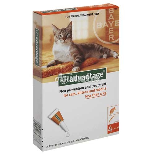 אמפולות אדוונטג' לחתול עד 4 ק"ג 