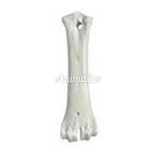 עצם סידן טבעית לכלב