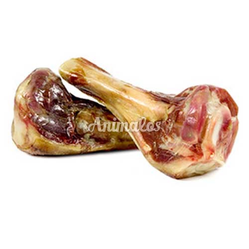 עצם פורקי חצוייה