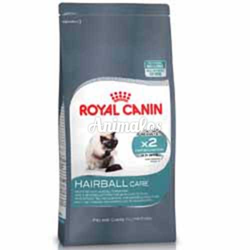 רויאל קנין חתול היירבול 4 קג Royal Canin