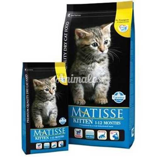 מאטיס מזון לחתולים גורים 1.5 ק''ג