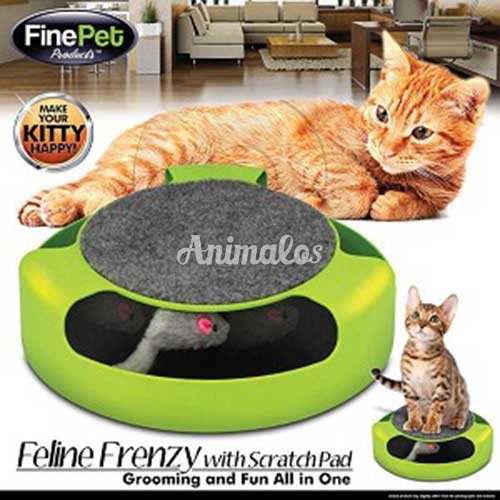 מגרד לחתולים תפוס את העכבר catch mice