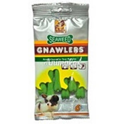 עצמות מיני דנטלי 6 יחידות