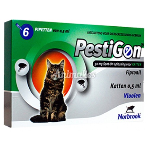 אמפולות פסטיגון לחתולים (6 אמפולות)