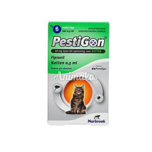 פסטיגון אמפולות לחתול 6 יחידות