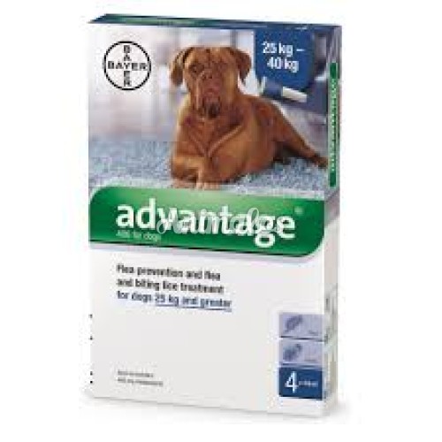 אמפולות אדוונטג' לכלב 25-40 ק''ג Advantage