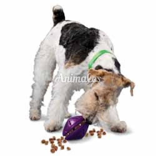 טוויסט אנד טריט/Twist 'n Treat מידה M