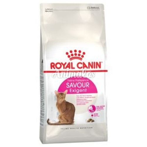רויאל קנין  לחתול אקסיג'נט סוואר 4 ק"ג Royal canin