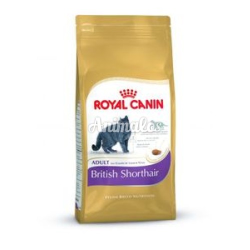 רויאל קנין לחתול בריטי 4 ק"ג Royal canin